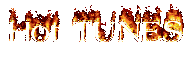 HOT TUNESIN THE US